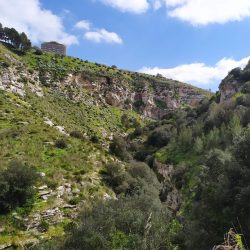 Ancora Segesta 2